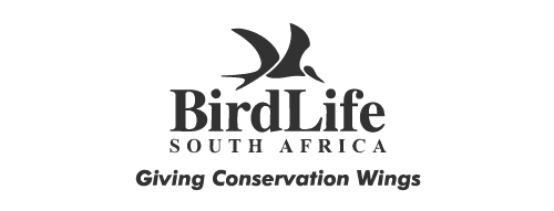 Birdlife SA